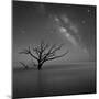 Milky Way in Botany Bay-Moises Levy-Mounted Photographic Print