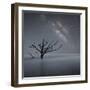 Milky Way in Botany Bay-Moises Levy-Framed Photographic Print