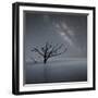 Milky Way in Botany Bay-Moises Levy-Framed Photographic Print