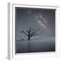 Milky Way in Botany Bay-Moises Levy-Framed Photographic Print