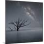 Milky Way in Botany Bay-Moises Levy-Mounted Photographic Print