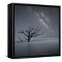 Milky Way in Botany Bay-Moises Levy-Framed Stretched Canvas