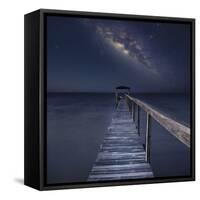 Milky Way in Florida-Moises Levy-Framed Stretched Canvas