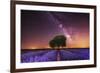 Milky Way over a lavender field in Guadalajara province, Spain, Europe-David Rocaberti-Framed Photographic Print