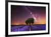 Milky Way over a lavender field in Guadalajara province, Spain, Europe-David Rocaberti-Framed Photographic Print