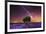 Milky Way over a lavender field in Guadalajara province, Spain, Europe-David Rocaberti-Framed Photographic Print