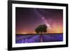 Milky Way over a lavender field in Guadalajara province, Spain, Europe-David Rocaberti-Framed Photographic Print