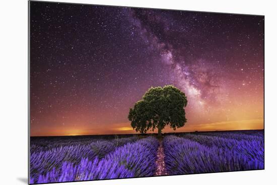 Milky Way over a lavender field in Guadalajara province, Spain, Europe-David Rocaberti-Mounted Photographic Print