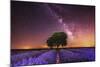 Milky Way over a lavender field in Guadalajara province, Spain, Europe-David Rocaberti-Mounted Photographic Print