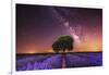 Milky Way over a lavender field in Guadalajara province, Spain, Europe-David Rocaberti-Framed Photographic Print