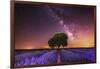 Milky Way over a lavender field in Guadalajara province, Spain, Europe-David Rocaberti-Framed Photographic Print