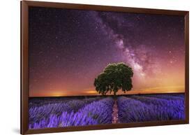 Milky Way over a lavender field in Guadalajara province, Spain, Europe-David Rocaberti-Framed Photographic Print