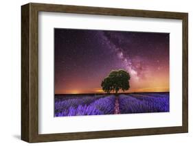 Milky Way over a lavender field in Guadalajara province, Spain, Europe-David Rocaberti-Framed Photographic Print