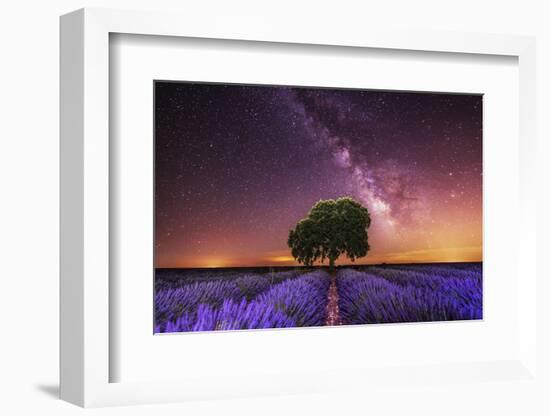 Milky Way over a lavender field in Guadalajara province, Spain, Europe-David Rocaberti-Framed Photographic Print