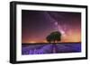 Milky Way over a lavender field in Guadalajara province, Spain, Europe-David Rocaberti-Framed Photographic Print