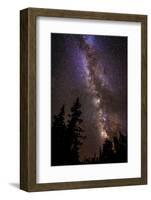 Milky Way over Cedar Breaks National Monument, Utah, USA.-Russ Bishop-Framed Photographic Print