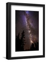 Milky Way over Cedar Breaks National Monument, Utah, USA.-Russ Bishop-Framed Photographic Print