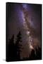 Milky Way over Cedar Breaks National Monument, Utah, USA.-Russ Bishop-Framed Stretched Canvas