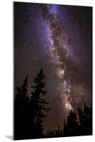 Milky Way over Cedar Breaks National Monument, Utah, USA.-Russ Bishop-Mounted Photographic Print