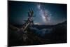 Milky Way over Crater Lake-Lydia Jacobs-Mounted Giclee Print