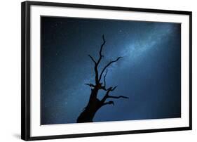 Milky way over Oak tree Brecon Beacons National Park, International Dark Sky Preserve, Wales-Phil Savoie-Framed Photographic Print