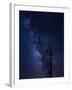 Milky way over the Carson National Forest, Tres Piedras, New Mexico-Maresa Pryor-Framed Photographic Print