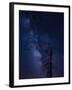 Milky way over the Carson National Forest, Tres Piedras, New Mexico-Maresa Pryor-Framed Photographic Print