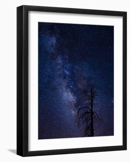 Milky way over the Carson National Forest, Tres Piedras, New Mexico-Maresa Pryor-Framed Photographic Print