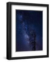 Milky way over the Carson National Forest, Tres Piedras, New Mexico-Maresa Pryor-Framed Photographic Print