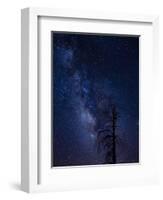 Milky way over the Carson National Forest, Tres Piedras, New Mexico-Maresa Pryor-Framed Photographic Print