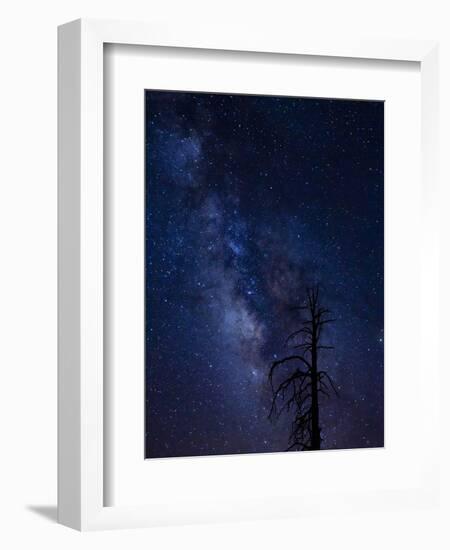 Milky way over the Carson National Forest, Tres Piedras, New Mexico-Maresa Pryor-Framed Photographic Print