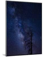 Milky way over the Carson National Forest, Tres Piedras, New Mexico-Maresa Pryor-Mounted Photographic Print