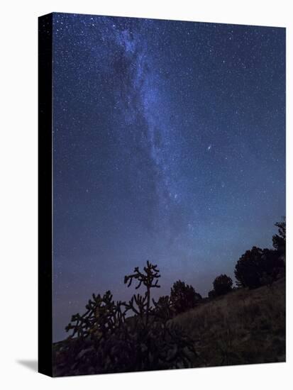 Milky Way Rises Over a Hill of Brush And Cacti, Kenton, Okalhoma-Stocktrek Images-Stretched Canvas
