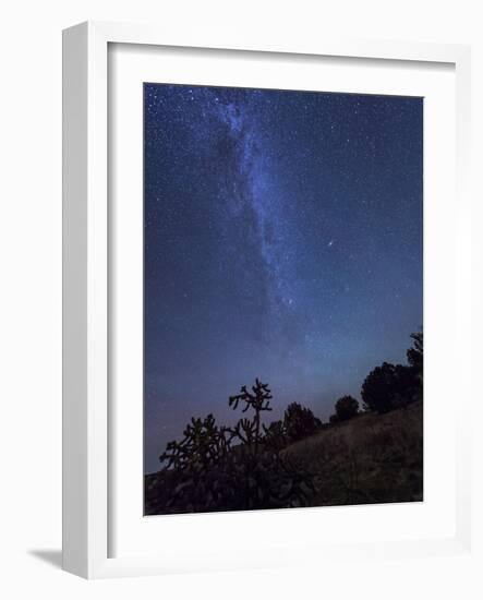 Milky Way Rises Over a Hill of Brush And Cacti, Kenton, Okalhoma-Stocktrek Images-Framed Photographic Print