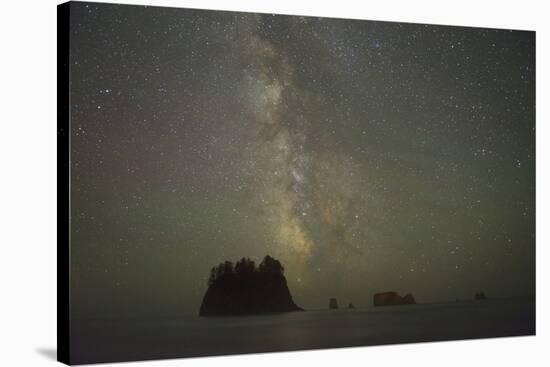 Milky Way rising behind sea stacks at 2nd Beach, Olympic National Park, Washington State-Greg Probst-Stretched Canvas