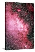 Milky Way Starfield-Dr. Juerg Alean-Stretched Canvas