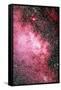 Milky Way Starfield-Dr. Juerg Alean-Framed Stretched Canvas