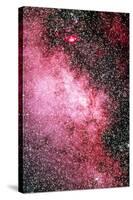 Milky Way Starfield-Dr. Juerg Alean-Stretched Canvas