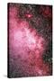 Milky Way Starfield-Dr. Juerg Alean-Stretched Canvas