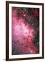 Milky Way Starfield-Dr. Juerg Alean-Framed Photographic Print