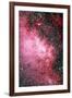 Milky Way Starfield-Dr. Juerg Alean-Framed Photographic Print