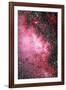 Milky Way Starfield-Dr. Juerg Alean-Framed Photographic Print