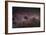 Milky Way-Dr. Fred Espenak-Framed Photographic Print