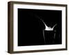 milky way-Christian Pabst-Framed Photographic Print