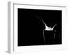 milky way-Christian Pabst-Framed Photographic Print