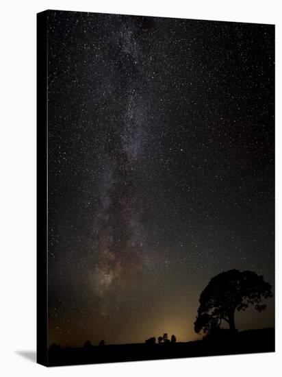 Milkyway-Kaspars Kurcens-Stretched Canvas