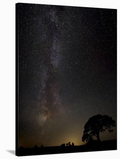 Milkyway-Kaspars Kurcens-Stretched Canvas