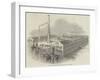 Mill Bank Depository, Ranelagh-Road, Pimlico-null-Framed Giclee Print