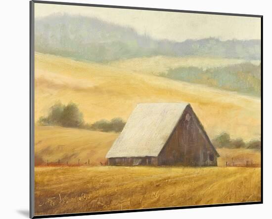 Mill Creek Barn-Todd Telander-Mounted Art Print