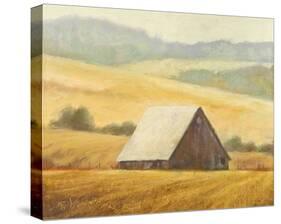 Mill Creek Barn-Todd Telander-Stretched Canvas